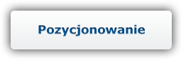 pozycjonowanie.png